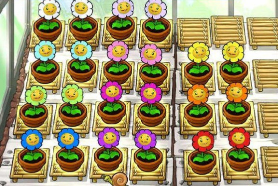 植物大战僵尸金盏花有多少种颜色？