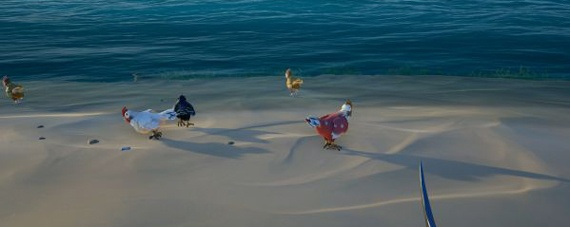 盗贼之海红点鸡在哪个岛？