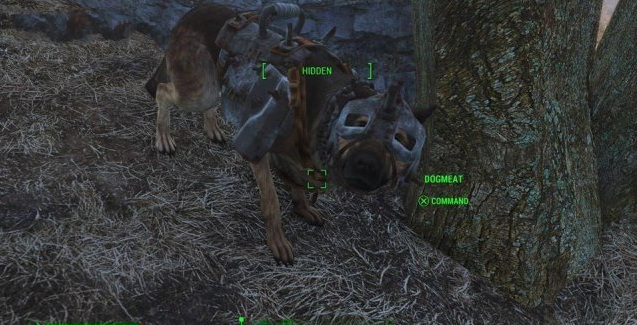 辐射4怎么给狗肉穿装备盔甲？