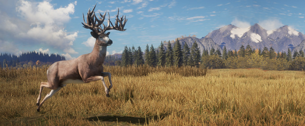 模拟狩猎2和荒野的呼唤哪个好玩？