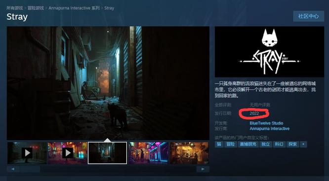 stray什么时候发售？