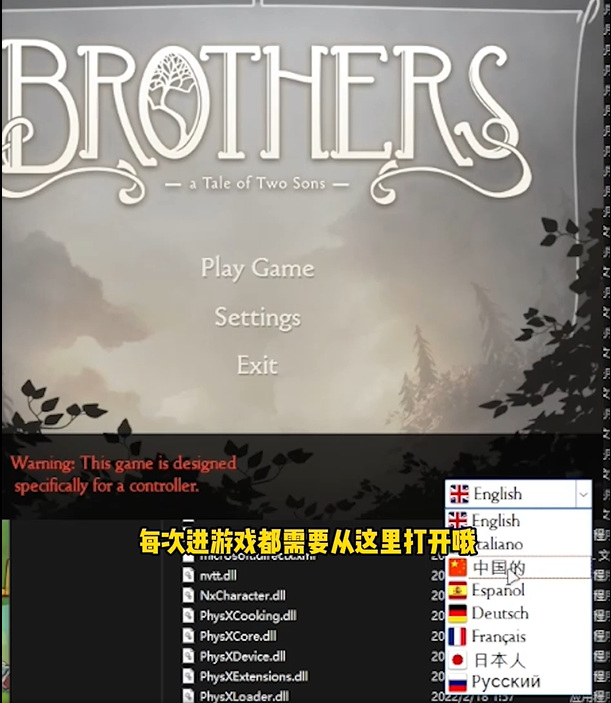 brothers a tale of two sons怎么调中文