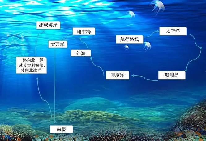 海底两万里鹦鹉螺号航海路线是什么？