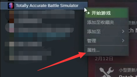 totally accurate battle怎么设置中文？