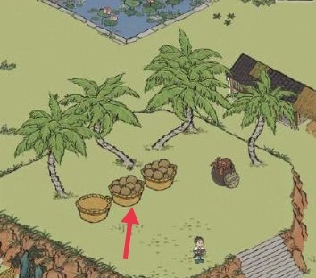 江南百景图椰子怎么收集？
