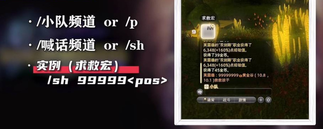 ff14占星复活宏怎么写?