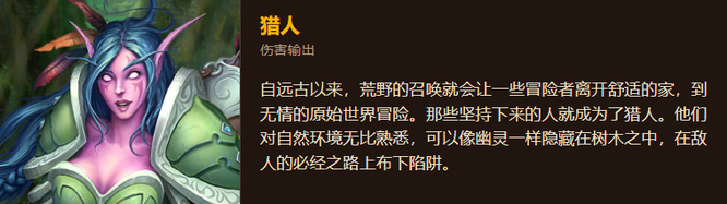 魔兽世界永久60选什么职业好？