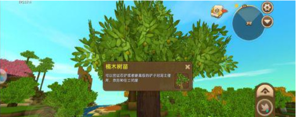 迷你世界怎么找楠木林？
