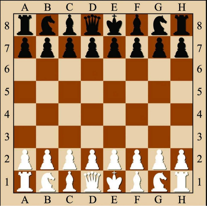 国际象棋中哪些棋子每步之内移动一格？