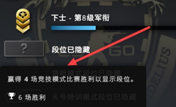 csgo怎么让队友看不到段位？