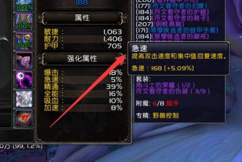 wow9.25兽王猎人属性是什么？