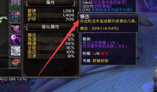 wow9.25兽王猎人属性是什么？