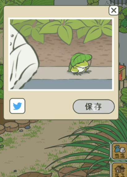 养蛙的游戏叫什么？