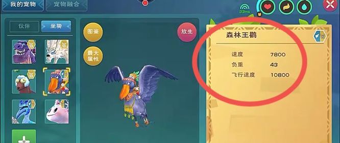 创造与魔法森林王鹳飞行速度是多少？