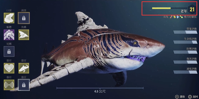 食人鲨老年多少级？