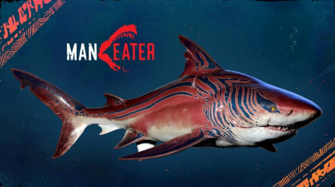食人鲨游戏怎么存档？