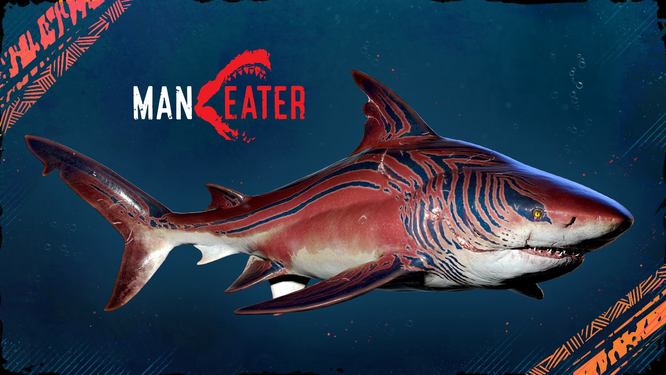 食人鲨如何保存游戏？