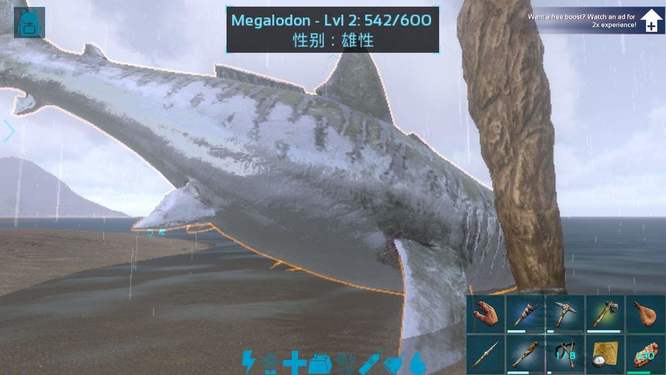 方舟大白鲨怎么驯养?