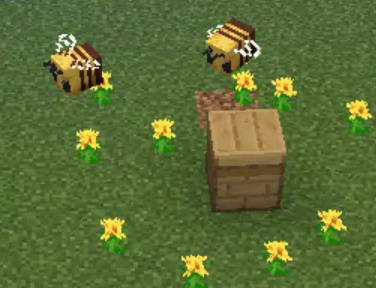 我的世界怎么养蜜蜂？