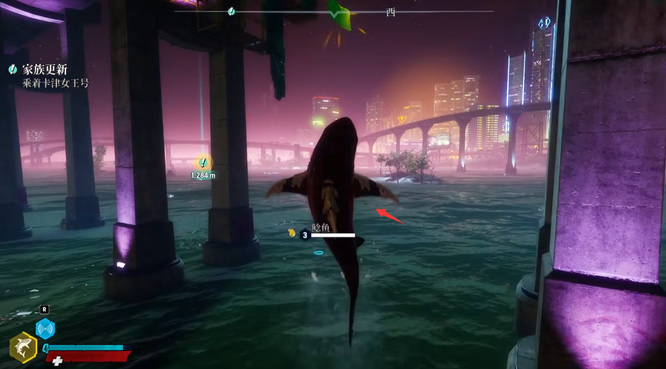 食人鲨怎么跳的更高？