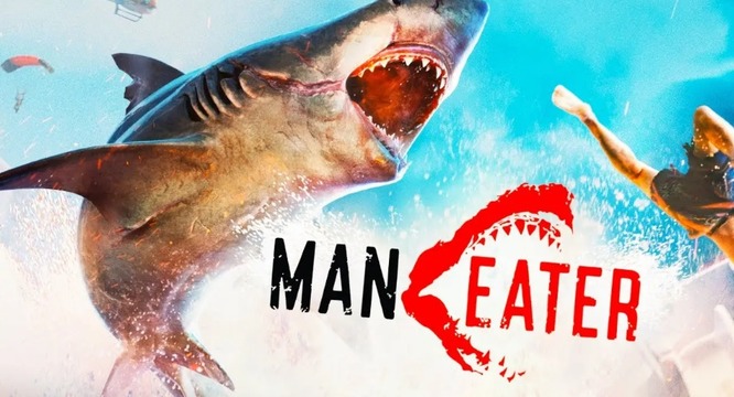 食人鲨带什么器官最好？