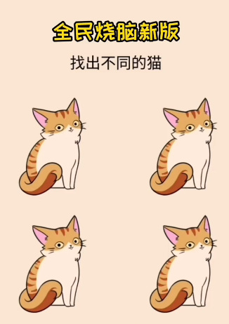 全民烧脑新版找出不同的猫怎么过？