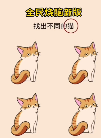 全民烧脑新版找出不同的猫怎么过？