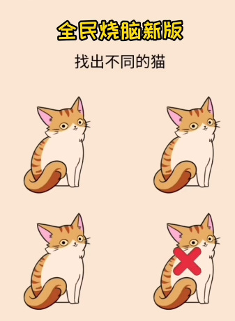 全民烧脑新版找出不同的猫怎么过？