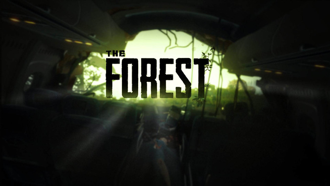 森林游戏怎么设置画面不晕？