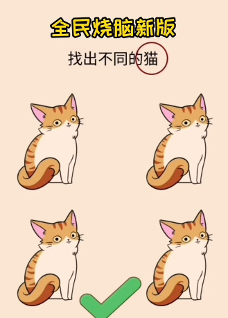 全民烧脑新版找出不同的猫怎么过？