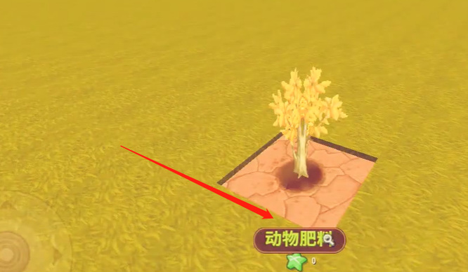 迷你世界金树怎么种？