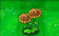 植物大战僵尸双子向日葵怎么用？