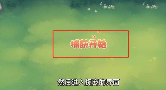 奥比岛在哪领养宠物？