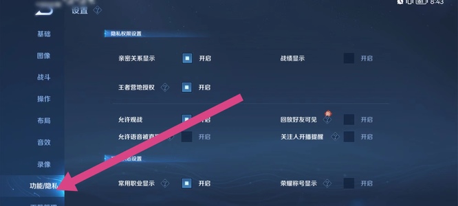 王者隐私设置在哪？