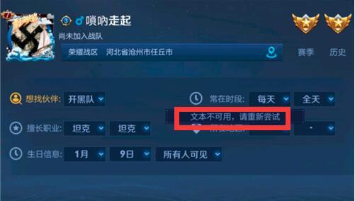王者荣耀改生日为什么文本不可用？