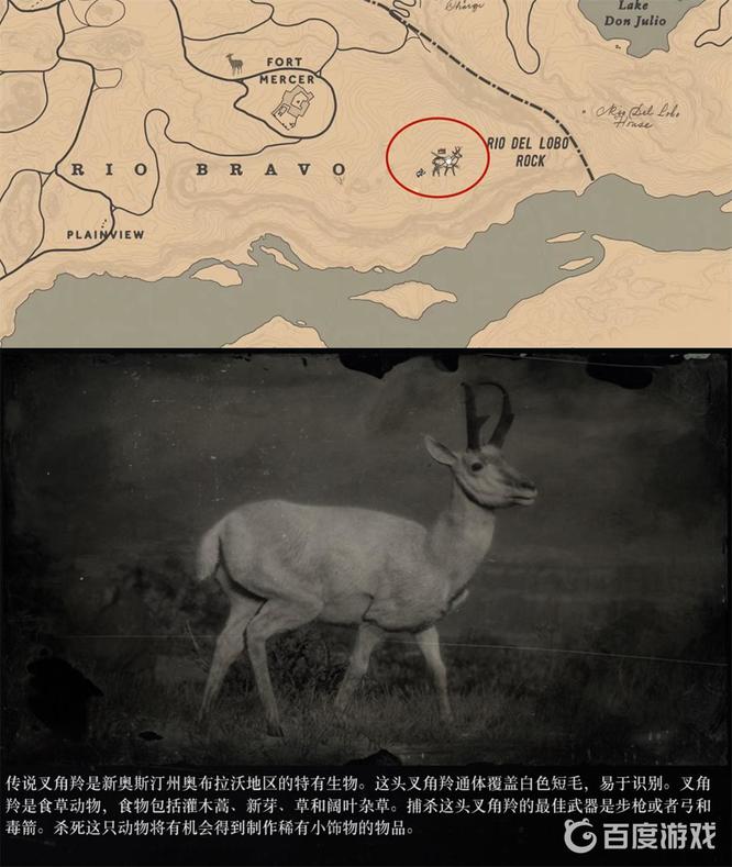 荒野大镖客2传说动物位置一览表有哪些？