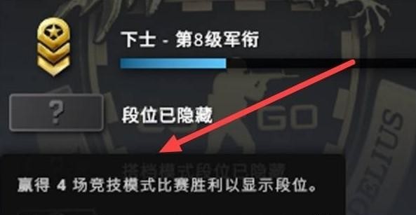 csgo隐藏段位设置在哪？