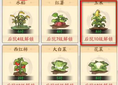 我是大东家后院种什么划算？