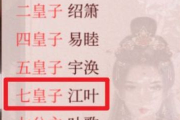 深宫曲皇子评价可以改吗？