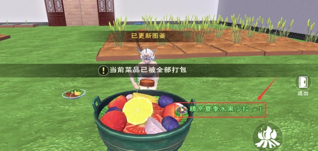 创造与魔法夏季水果沙拉怎么做？