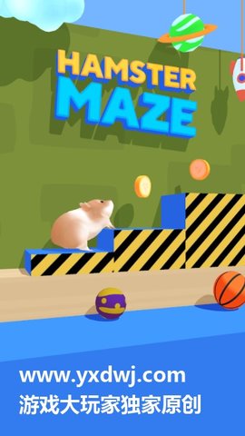 Hamster Maze