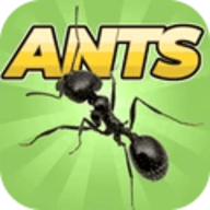 蚂蚁大战游戏手机版